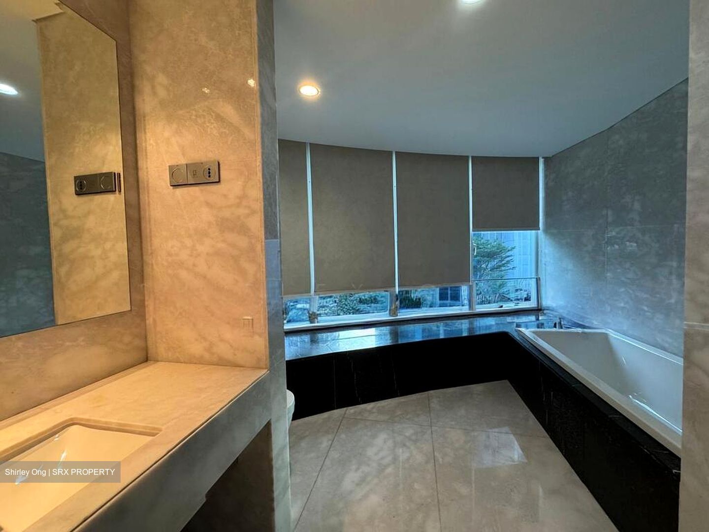 St. Regis Residences (D10), Apartment #502891041